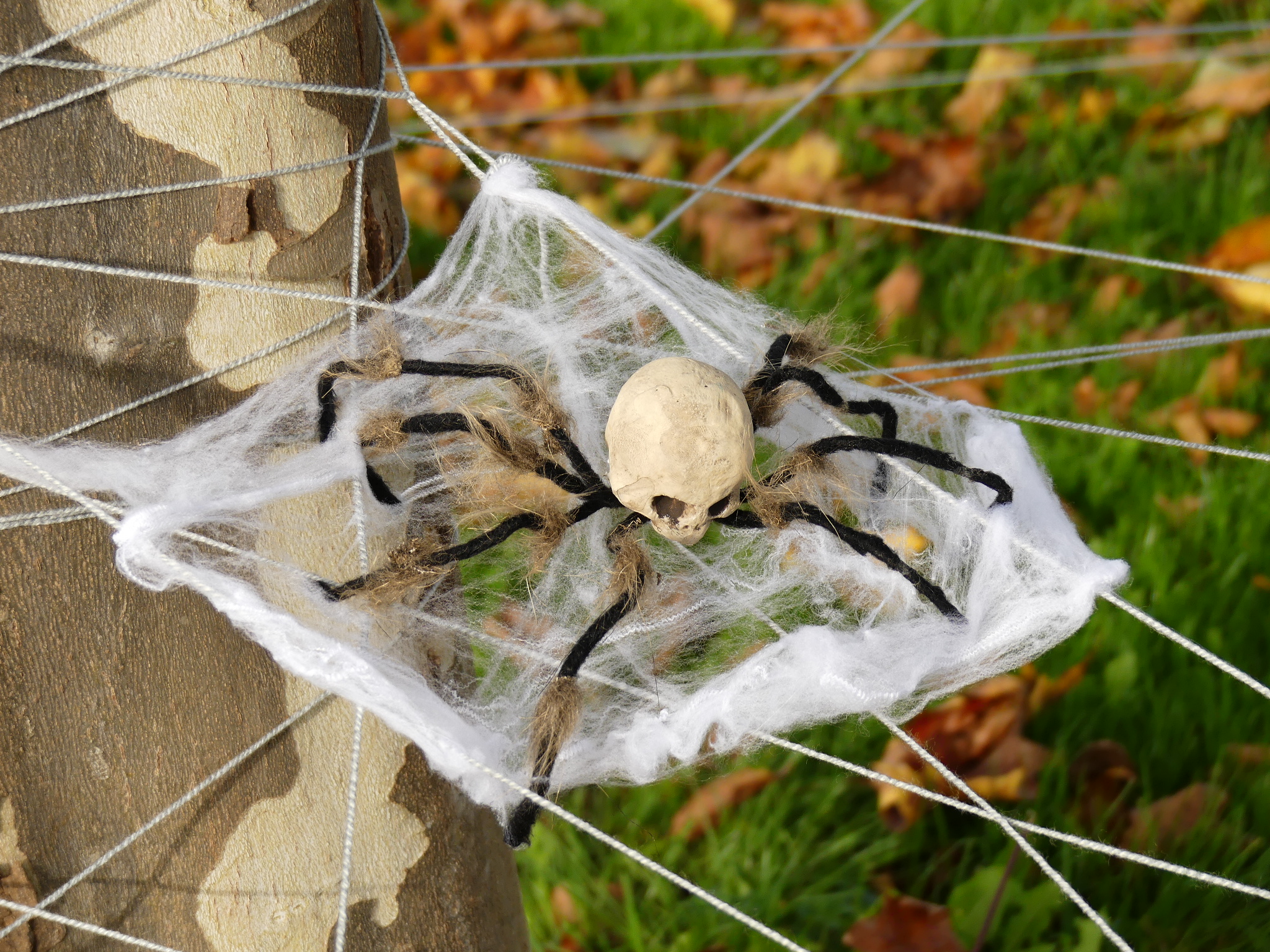Die Spinne Tarantula beäugt ihr riesiges Spinnennetz mit Argusaugen. Weckt sie bloß nicht auf, sonst wird es ungemütlich.