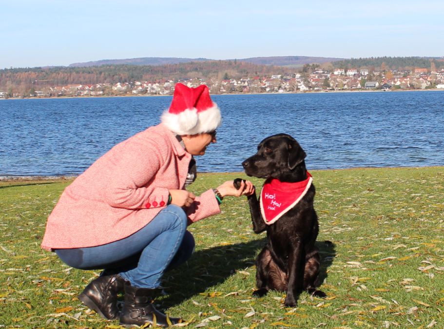 Deine Hundeschule Hundeliebe in und rund um Konstanz gibt dir gerne Tipps für eine besinnliche Vorweihnachtszeit - denn darauf solltest du achten, wenn du einen Hund zu Hause hast.