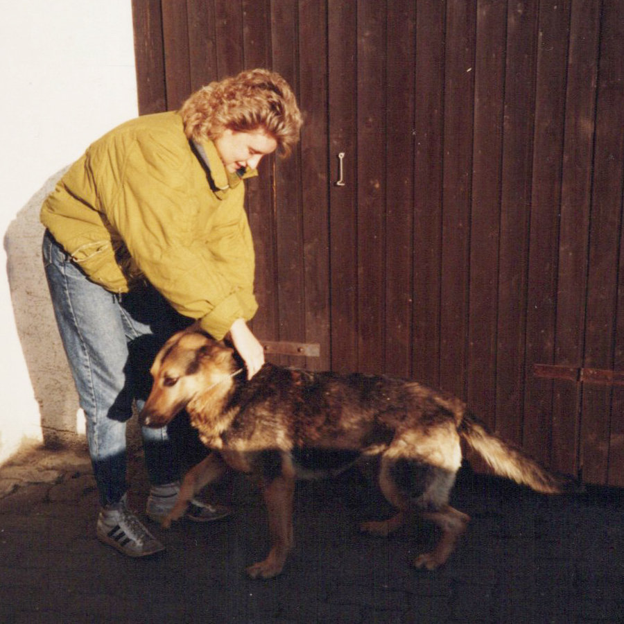 Hundeschule-Hundeliebe_Silke-Assi-neu Biografie Silke Berges Hundeschule Hundeliebe. Assi war die Schäferhündin meines ersten Freundes und wir haben unglaublich viel Zeit miteinander verbracht. Ein Schäfi ist schon was anderes wie eine kleine Hündin.