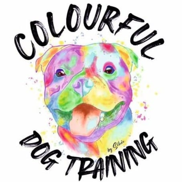 Silvie Kraus ist bunt, fröhlich und fachlich sehr kompetent - colourful dog training Volkertshausen