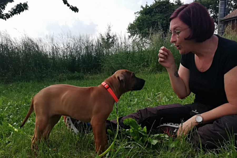 Wer ist Silke Berges?  Teil 1: meine Hunde